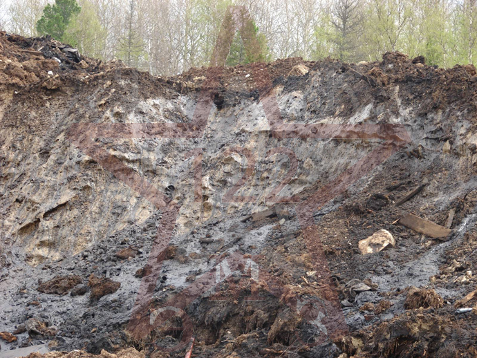 ���������� �������� �����������