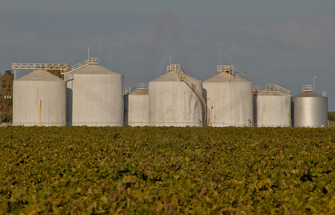 ���� ����������� ��������� �����